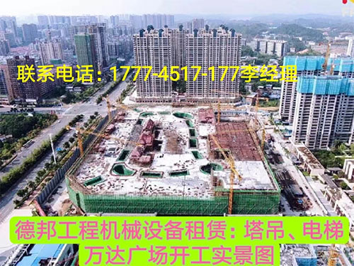 萬(wàn)達(dá)廣場(chǎng)、岳麓青城一二三期   租賃塔吊、電梯實(shí)情